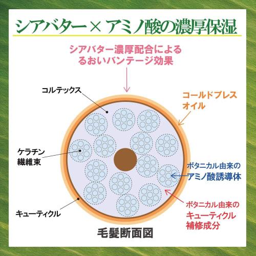 SALON STYLE Biolis Vegany Botanical Shampoo  Moist  Moist and Supple Rose & Cassis Scent Refill 340ml  X 2