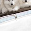 Comforter Fashion 3D Samoyed Dogs - Cute White Animal Home Textiles For Kids Boys And Girls Available For Dropship