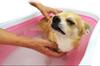 Kiyo Jochugiku Dog Bath Pet Skin Care Bath 14 Bath 10g x 14 Packets Additive, Geranium, Packets,