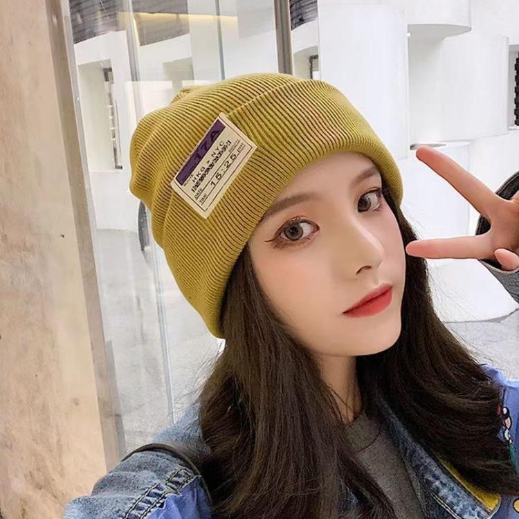 Women's Autumn and Winter Warm Knitted Hat Korean Fashion Japanese Solid Color Warm Hat