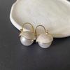 Korea New Trendy Shell Imitation Pearl Hoop Earrings For Women Temperament Versatile Cute Small Earring New  Wedding Jewelry