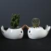 Cute Cartoon Animal Dolphin Succulent Flower Pot Creative Desktop Plant Decoration Ceramic Flower Pot
