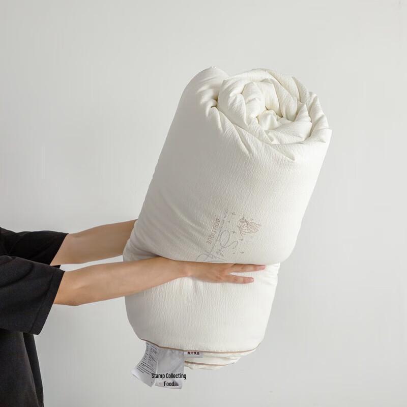 Muji Bama Silk & Soy Fiber All-Season Duvet