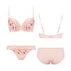 AMOSTYLE BY Triumph Entry Collection Cup Bra Panty Set M019 E70M 3/4 Bra, Cleavage-Enhancing & (Tender Flower), Women's, (Pink),