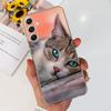 Case For Samsung F54 5G Back Cover Glitters Fashion Cat Wolf Soft Silicon Bumper For Samsung Galaxy F54 5G F546B Phone Case Capa