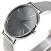 SKAGEN SKW2730 SIGNATURE SILVER LADIES Skagen Signature Silver Stainless Steel Mesh Women's Watch [Parallel Import]