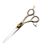 Japan Gold Baked Paint Hairdressing & Barber Scissors Set: Straight Shears, Bang Scissors, Thinning Shears