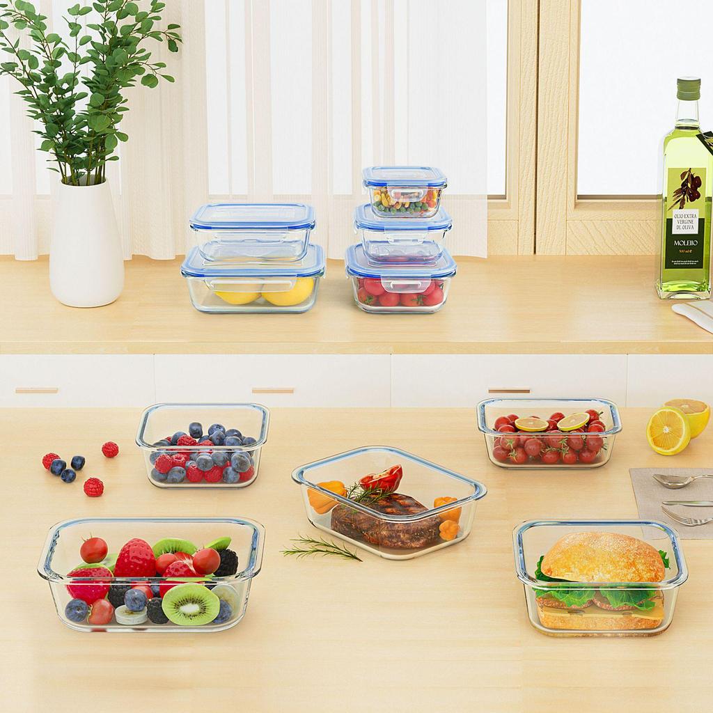 Borosilicate Glass Food Storage & Microwave Safe Bento Box Set