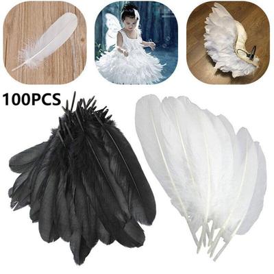 100 Stück/Set Für Bastelarbeiten 6-8 Zoll Natur DIY Dekoration Gänsefedern Verschiedene Feder Partyzubehör