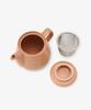 Afternoon Tea Living Teapot JE01 Logo Works Teapot with Strainer, 500ml, Brown