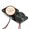 2Pcs Piezo Buzzer 3015B Dc3-24V Lead Alarm 12V Electronic Beep Buzzer 100Db Piezo Alarm Siren Continous Sound For Motorcycle