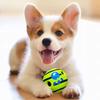 Wobble Wag Giggle Glow Ball Interactive Dog Toy With Fun Giggle Sounds When Rolled Shaken Glowing Pet Toy For Dogs
