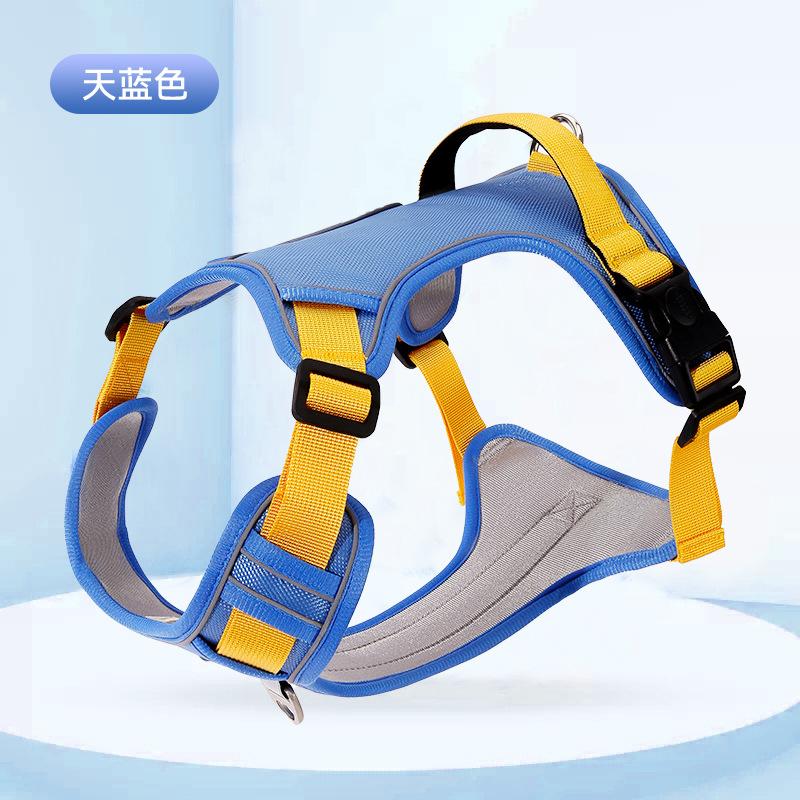 

Большой поводок для собаки Большая шлейка для собаки Цепочка-ошейник для собаки Золотистый ретривер Сацума Поводок для выгула собаки Зоотовары S (recommended weight 8-7.5kg)