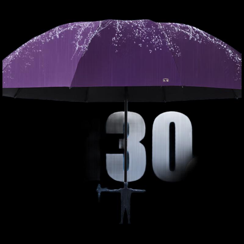 Paradise 10-Rib Reinforced Triple-Fold Sun & Rain Umbrella