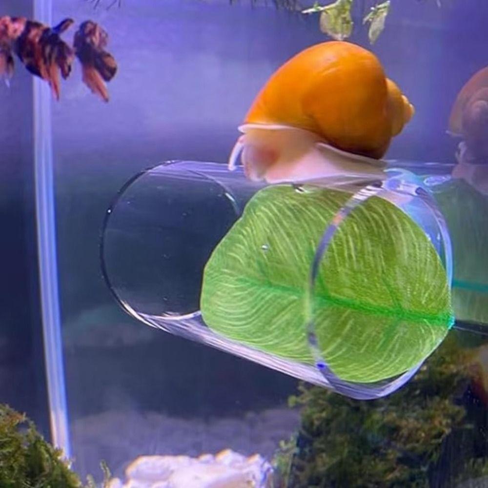 Transparent Aquarium Betta Fish Tunnel Hide Betta Tube Tunnels Gifts Betta Fish Tank Decorations