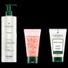 René Furterer Scalp Care & Hair Treatment Set