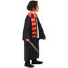 Harry Potter Costume Accessory