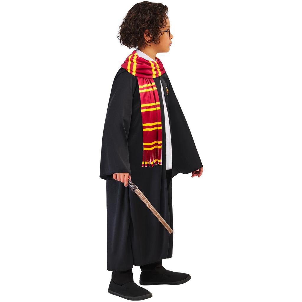 Harry Potter Costume Accessory