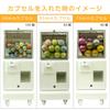 GACHABOX Gacha Machine 500 Yen Coin Operated 330mm x 380mm x 755mm A-Muse (Gacha Box) Unit, (with Key),