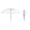 Hand-Painted Transparent Umbrella for Adults & Kids - Extra Large & Durable