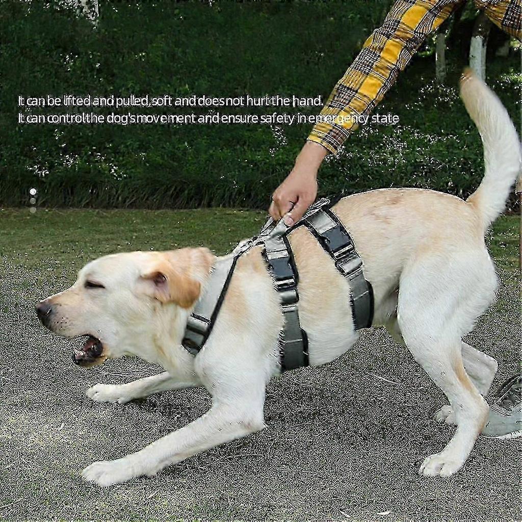 Durable Explosionproof Big Harness with Handle - Adjustable Chest Harness for Large Dogs, Blue, Size S - Comfortable Pet Gear
