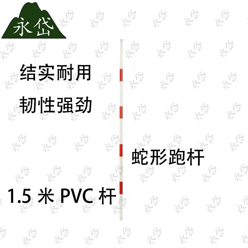 Sports Training Slalom Poles