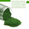 CoCud Model Glass Terrain Powder 185ml Capacity, Fake Miniature Flowers, Glass Trees, Sponge, Dark Green - (Uses: DIY Dollhouses, Fairy Gardens,