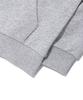 Pendulum Pdlm Logo Zip-Up Hoodie Melange Grey (Lp6Tu147-097)