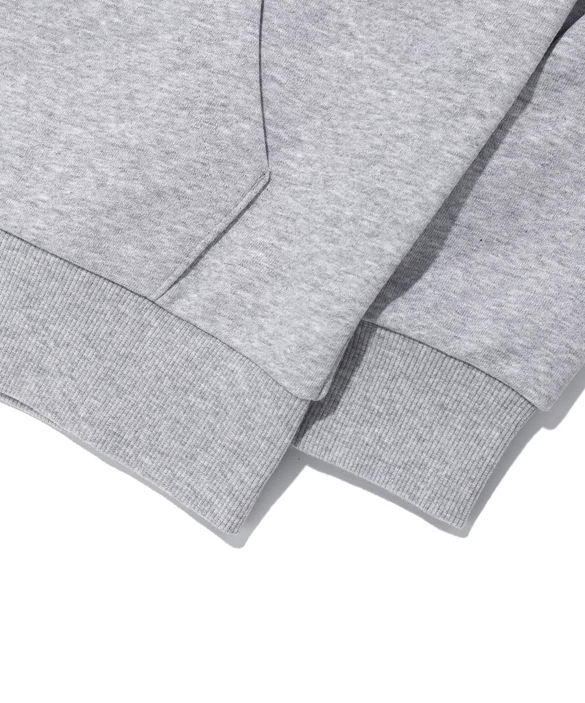 Pendulum Pdlm Logo Zip-Up Hoodie Melange Grey (Lp6Tu147-097)