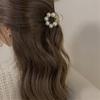 Chic Barrettes Sweet Hairpins Styling Accessories Hair Claw Creativity Hair Clips Claw Crab