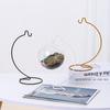 Glass Hanging Micro Landscape with Iron Hook Bracket for Ecological Plant Displays