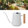 Stainless Steel Watering Can Pot Retro Small Plant Watering Can with Wooden Handle for Indoor Outdoor 1000ML