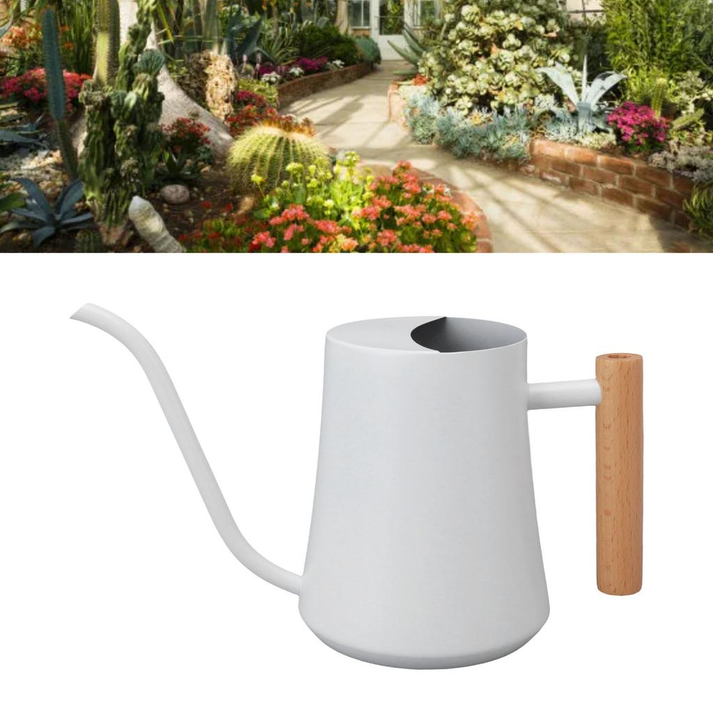 Stainless Steel Watering Can Pot Retro Small Plant Watering Can with Wooden Handle for Indoor Outdoor 1000ML