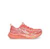 Noosa Tri 16 Running Shoes