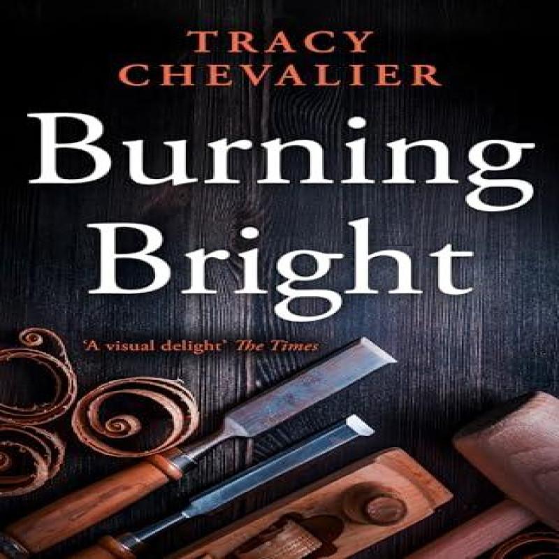 Burning Bright by Tracy Chevalier Paperback Book 9780007178360