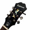 Dancing Hummingbird Guitar and Instrument Inlay Sticker