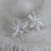 (Worn by TWICE) Bloom No.I Earring_Silver925