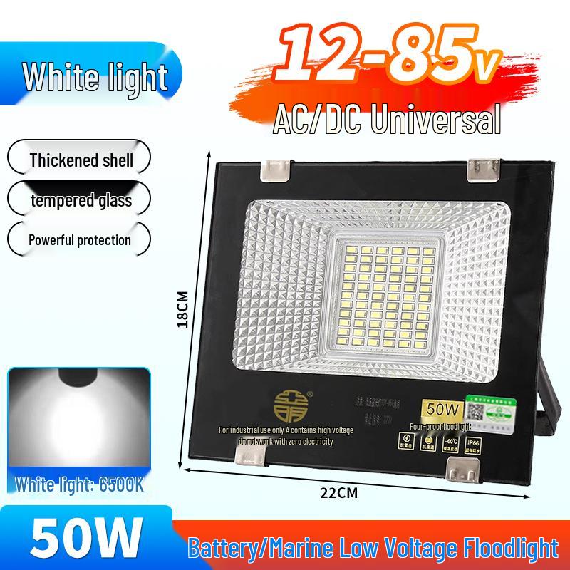 Yaming Marine LED Floodlight: 100W Outdoor Waterproof Spotlight for 12V/24V/36V DC Battery
