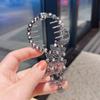 Exquisite Zircon Flower Tassel Hair Clip Fashion Shining Women Elegant High Horse Tail Hair Clip Plate Hair Artifact