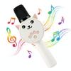 Kids Handheld Bluetooth Microphone Speaker Wireless Karaoke Machine with 4 Voice Changers HIFI Sound Portable KTV Toy Gift