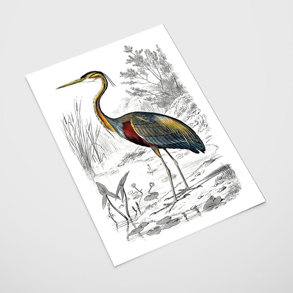 Poster Heron Bird Illustration