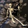 Small Skeletons Decoration Full Body Posable Joints Spooky Skeletons Hanging for Halloween Haunted House Party Decor Trick Prop