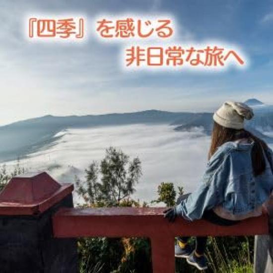 BEIBEI Sleeping Envelope Artificial For All Heat Cold Disaster Limit Usage Temperature Bag, Type, Down, Winter, Summer, Seasons, Compact, Outdoor,