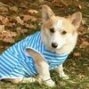 Round Neck Dog Cooling Vest Soft Fabric Pet Striped T-Shirt Dog Summer Clothes  Spring Summer