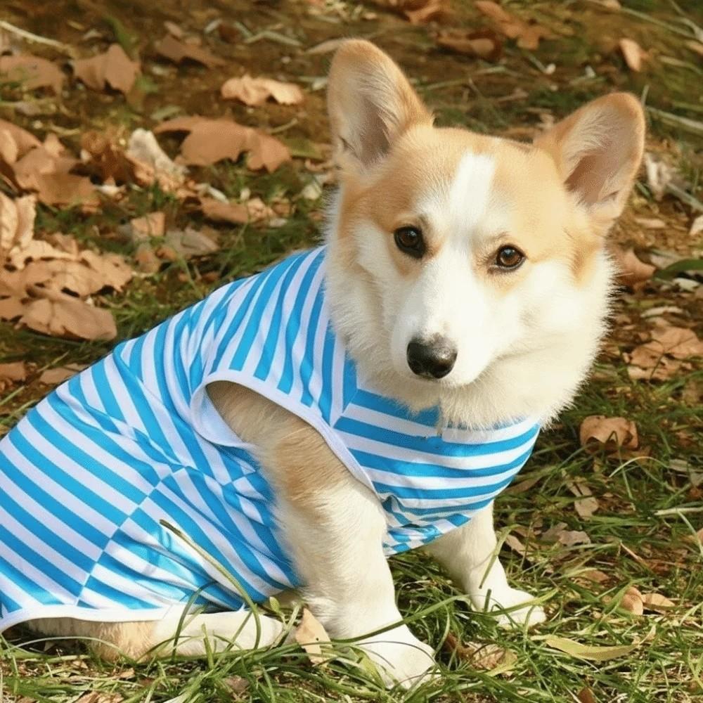 Round Neck Dog Cooling Vest Soft Fabric Pet Striped T-Shirt Dog Summer Clothes  Spring Summer