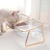 Professional Cat Double Bowl New with Stand and Mat Pet Kitten Puppy Transparent Food Feeding Dish Metal Elevated Water Feeder Dog Supplies