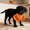 Pet Toys Built-in Sound Interactive Toy Plush Bite-Resistant Marine Animal Shape Chew Toy Cleaning Teeth Boredom Relief Toy