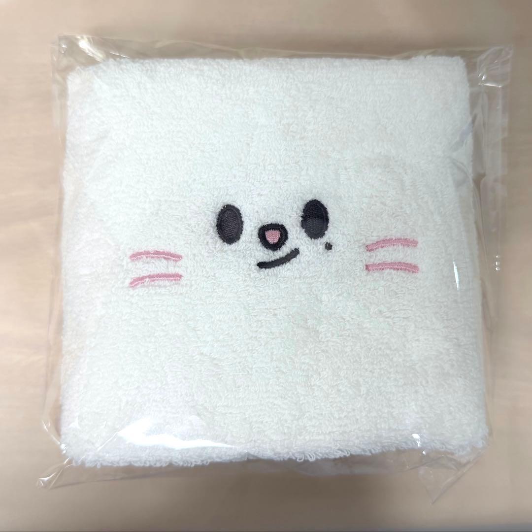 [USED] Stray Kids fan meeting admission bonus: Genielet