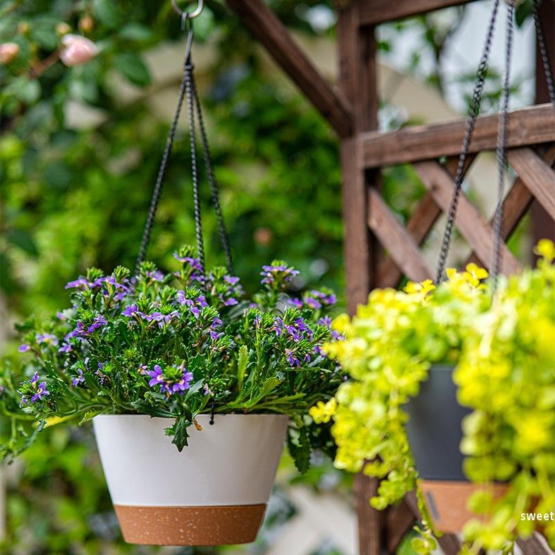 Hanging Basket Flowerpot Balcony Chlorophytum Comosum Planting Pot Household Hanging Green Plant Flower Pot Planter Basin Garden Deco