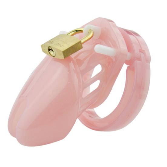 Penis Device Male Chastity Control Cock Lock Cage with Ring Sex Toy BDSM Prop